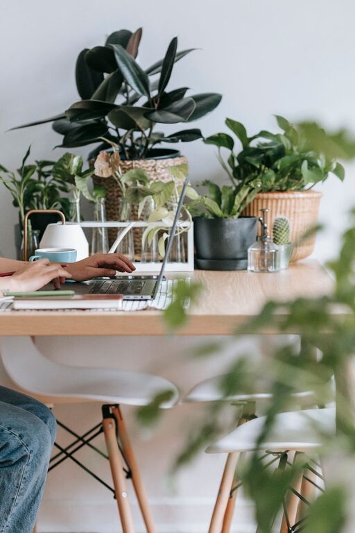 Tips for Creating a Cozy and Productive Home Office Space